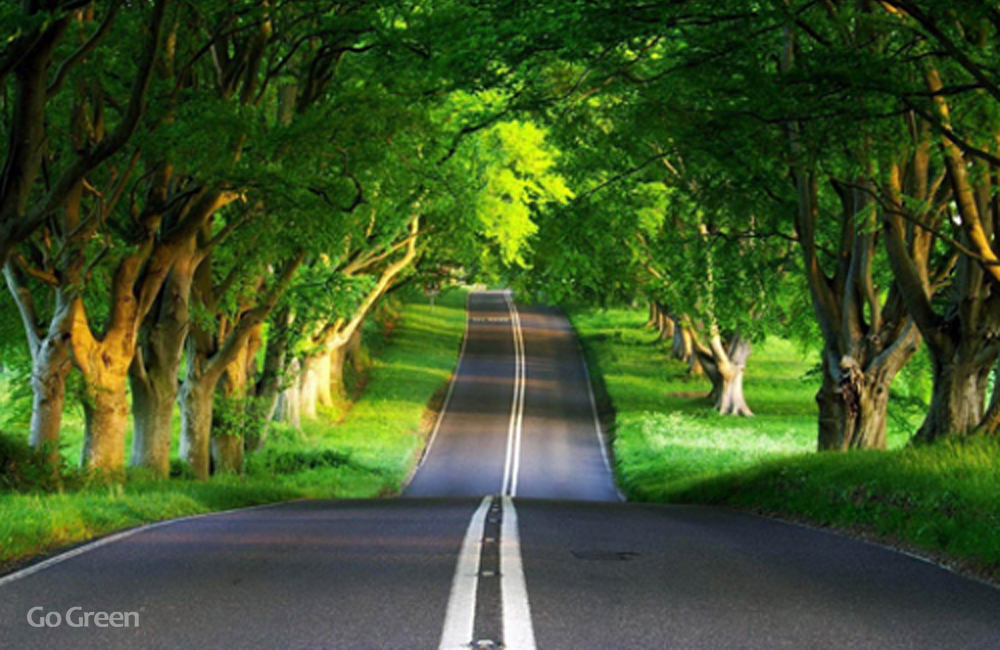Go Green Global Market Expansion Go Green Global Market Expansion